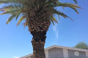 26618 S Maricopa Pl, Sun Lakes, AZ 85248 - Photo 13