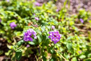 18821 N 17th Ave, Phoenix, AZ 85027 - Photo 31