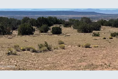 0 Woodlands Ranch - Lot 704 -- #704, Saint Johns, AZ 85936 - Photo 3