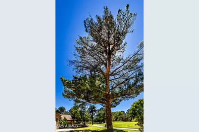 205 Oakcreek Drive, Sedona, AZ 86351 - Photo 41