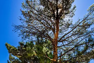 205 Oak Creek Dr, Sedona, AZ 86351 - Photo 41