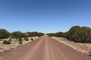 0 Colts Wy Lot 5, Concho, AZ 85924 - Photo 1