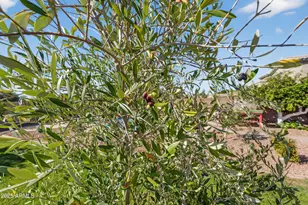 2908 N 141st Ave, Goodyear, AZ 85395 - Photo 47