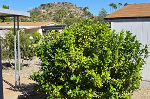 2233 E Behrend Dr, Phoenix, AZ 85024 - Photo 25