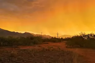 7452 E Nevada Dr, Hereford, AZ 85615 - Photo 35