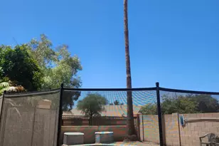 1853 E Shannon St, Chandler, AZ 85225 - Photo 31