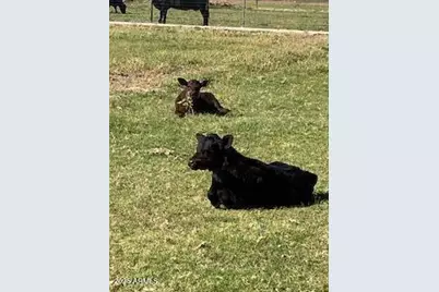 2300 S Jackrabbit Trail --, Buckeye, AZ 85326 - Photo 35