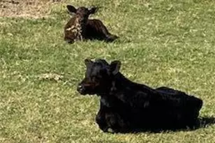 2300 S Jackrabbit Trail, Buckeye, AZ 85326 - Photo 35