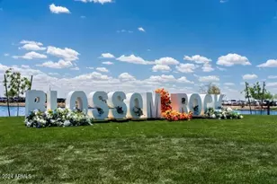 415 W Fremont Pass, Apache Junction, AZ 85120 - Photo 3