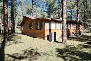 247 W Diamond Rd, Payson, AZ 85541 - Photo 41