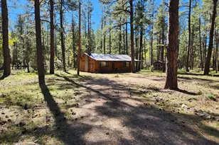 247 W Diamond Rd, Payson, AZ 85541 - Photo 35