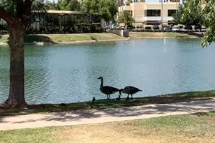 2644 W Desert Cove Ave, Phoenix, AZ 85029 - Photo 21