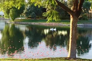 2644 W Desert Cove Ave, Phoenix, AZ 85029 - Photo 3