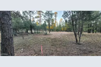 2857 Sparrow Drive #22, Happy Jack, AZ 86024 - Photo 7