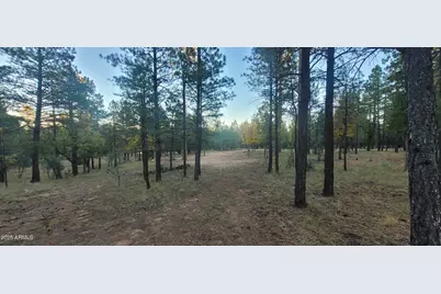 2857 Sparrow Drive #22, Happy Jack, AZ 86024 - Photo 1