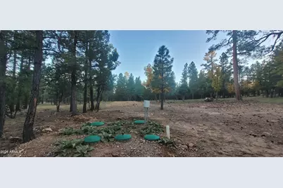 2857 Sparrow Drive #22, Happy Jack, AZ 86024 - Photo 5