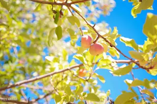 168 E Tonto Dr, Sedona, AZ 86351 - Photo 31