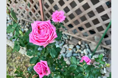 6042 E Halifax Street, Mesa, AZ 85205 - Photo 55