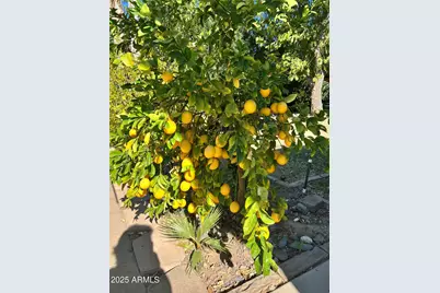 6042 E Halifax Street, Mesa, AZ 85205 - Photo 57