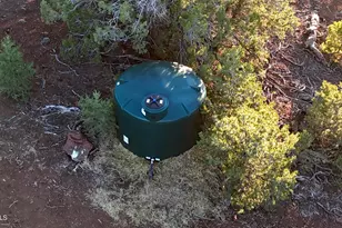 80 County Rd N3313 --, Vernon, AZ 85940 - Photo 5