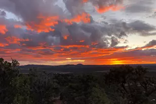 80 County Rd N3313 --, Vernon, AZ 85940 - Photo 47