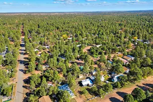2169 Tenderfoot Trail, Overgaard, AZ 85933 - Photo 29