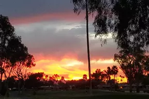 25244 S Saddletree Dr, Sun Lakes, AZ 85248 - Photo 37