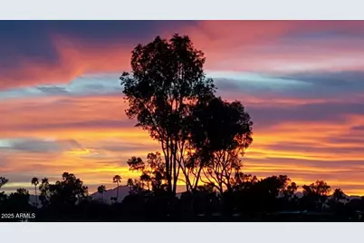 25244 S Saddletree Drive, Sun Lakes, AZ 85248 - Photo 35