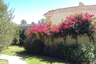 1012 E Highland Ave, Phoenix, AZ 85014 - Photo 33