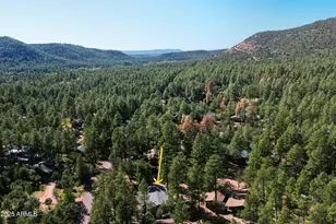 5199 N Hicks Dr, Strawberry, AZ 85544 - Photo 41