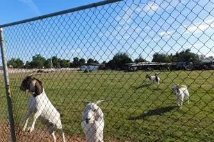 15802 S Gilbert Rd, Chandler, AZ 85225 - Photo 19