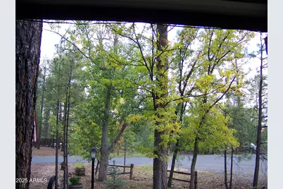 1167 E White Tail --, Pinetop, AZ 85935 - Photo 3