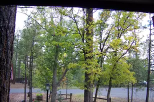 1167 E White Tail --, Pinetop, AZ 85935 - Photo 3