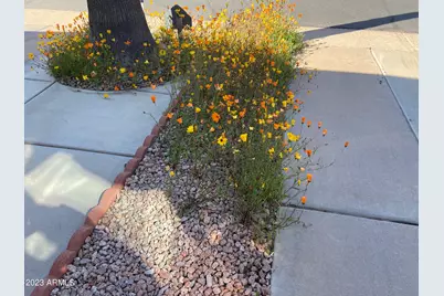 1358 W Kiowa Circle #358, Apache Junction, AZ 85119 - Photo 29