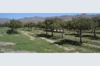 8 NW Highway 62 (Date Creek) Road NW #A, Congress, AZ 85332 - Photo 5