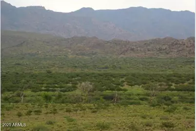 8 NW Highway 62 (Date Creek) Road NW #A, Congress, AZ 85332 - Photo 1