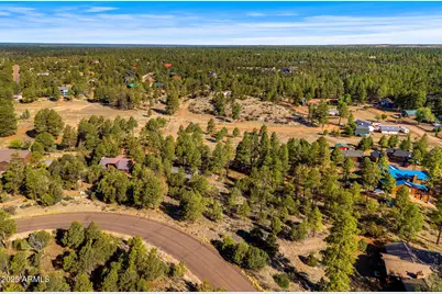 2794 Skyhawk Drive #140, Overgaard, AZ 85933 - Photo 3