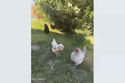 800 W Marlboro Drive, Chandler, AZ 85225 - Photo 61