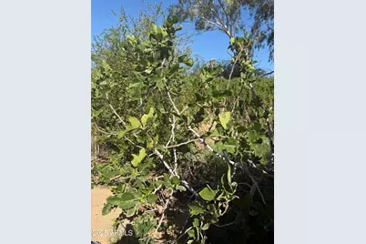 800 W Marlboro Drive, Chandler, AZ 85225 - Photo 57