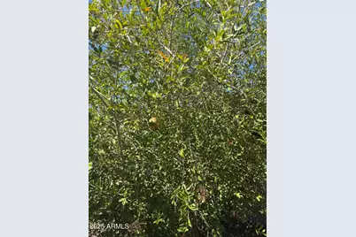 800 W Marlboro Drive, Chandler, AZ 85225 - Photo 59