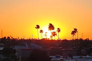 425 S Parkcrest Dr, Mesa, AZ 85206 - Photo 53