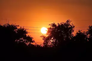 425 S Parkcrest Dr, Mesa, AZ 85206 - Photo 55