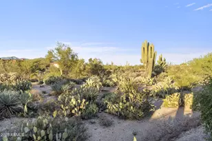 8944 E Lazywood Pl, Carefree, AZ 85377 - Photo 77