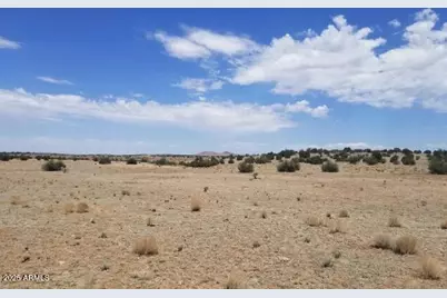 42700 W Hard Rock Way #-, Seligman, AZ 86337 - Photo 5