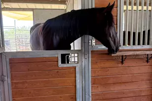 29255 N 82nd St, Scottsdale, AZ 85266 - Photo 27