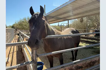 29255 N 82nd Street, Scottsdale, AZ 85266 - Photo 25