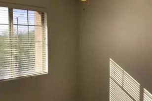 3838 E Cat Balue Dr, Phoenix, AZ 85050 - Photo 13