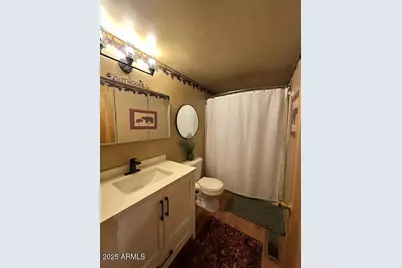 867 Hill Top Drive, Mormon Lake, AZ 86038 - Photo 15