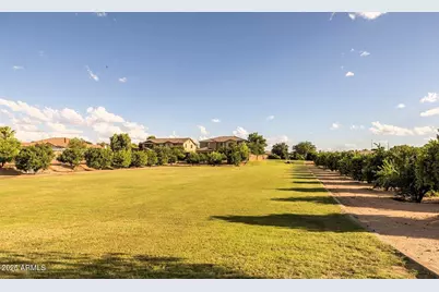 3920 E Ellis Street, Mesa, AZ 85205 - Photo 67