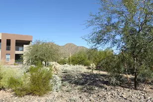 11673 N 136th St, Scottsdale, AZ 85259 - Photo 5